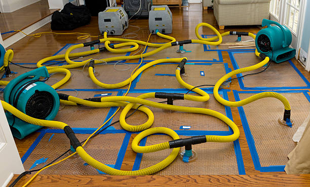 Professional Sewage Cleanup technician working in Arlington, NE